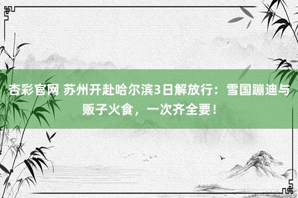 杏彩官网 苏州开赴哈尔滨3日解放行：雪国蹦迪与贩子火食，一次齐全要！
