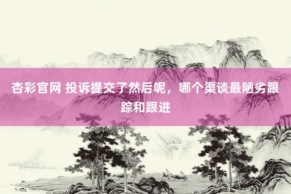 杏彩官网 投诉提交了然后呢，哪个渠谈最陋劣跟踪和跟进