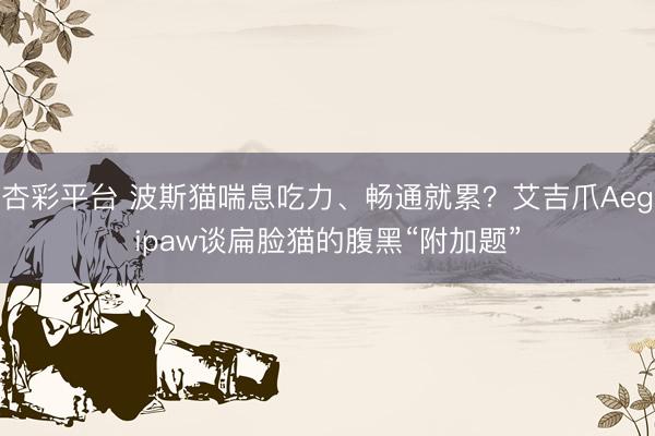 杏彩平台 波斯猫喘息吃力、畅通就累？艾吉爪Aegipaw谈扁脸猫的腹黑“附加题”