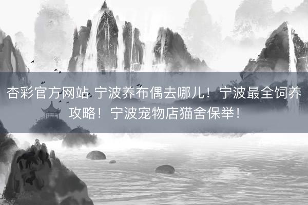 杏彩官方网站 宁波养布偶去哪儿！宁波最全饲养攻略！宁波宠物店猫舍保举！